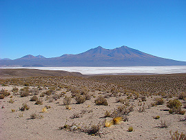 solná pláň Salar de Chiguana a vulkán Luxsar